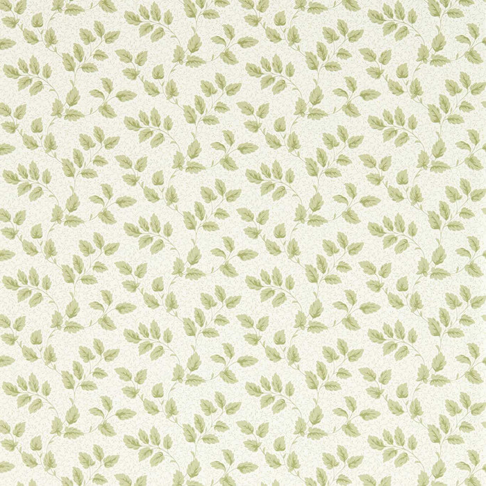 Sanderson Tomato Leaf Leaf Green Wallpaper Sample DSAB217422