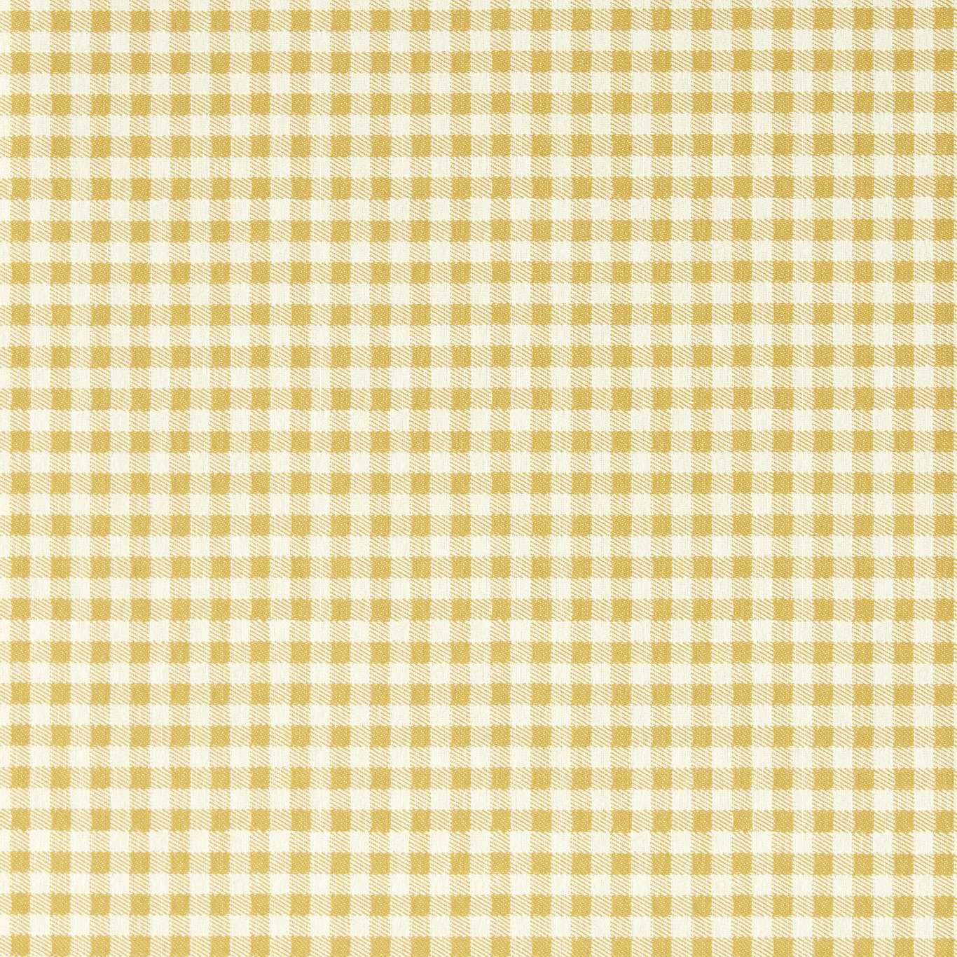 Sanderson Gingham Wild Honey Wallpaper Sample DSAB217433