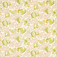 Sanderson Cantaloupe Matcha/Conch Fabric DSAN227198