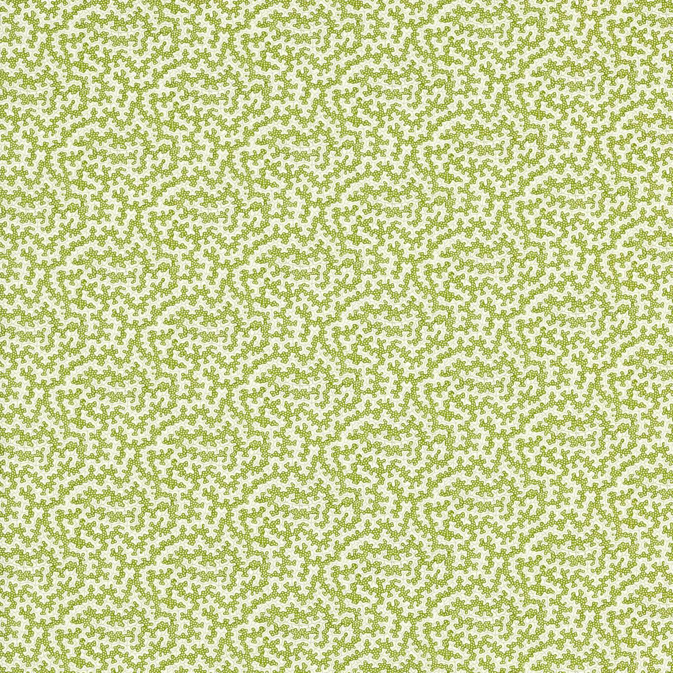 Sanderson Truffle Olive Fabric Sample DSAN227204
