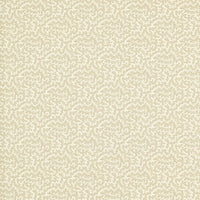 Sanderson Truffle Sand Dollar Fabric DSAN227261