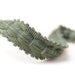 Sanderson Thornborough Bobble Braid Thyme Trim DTRM237354