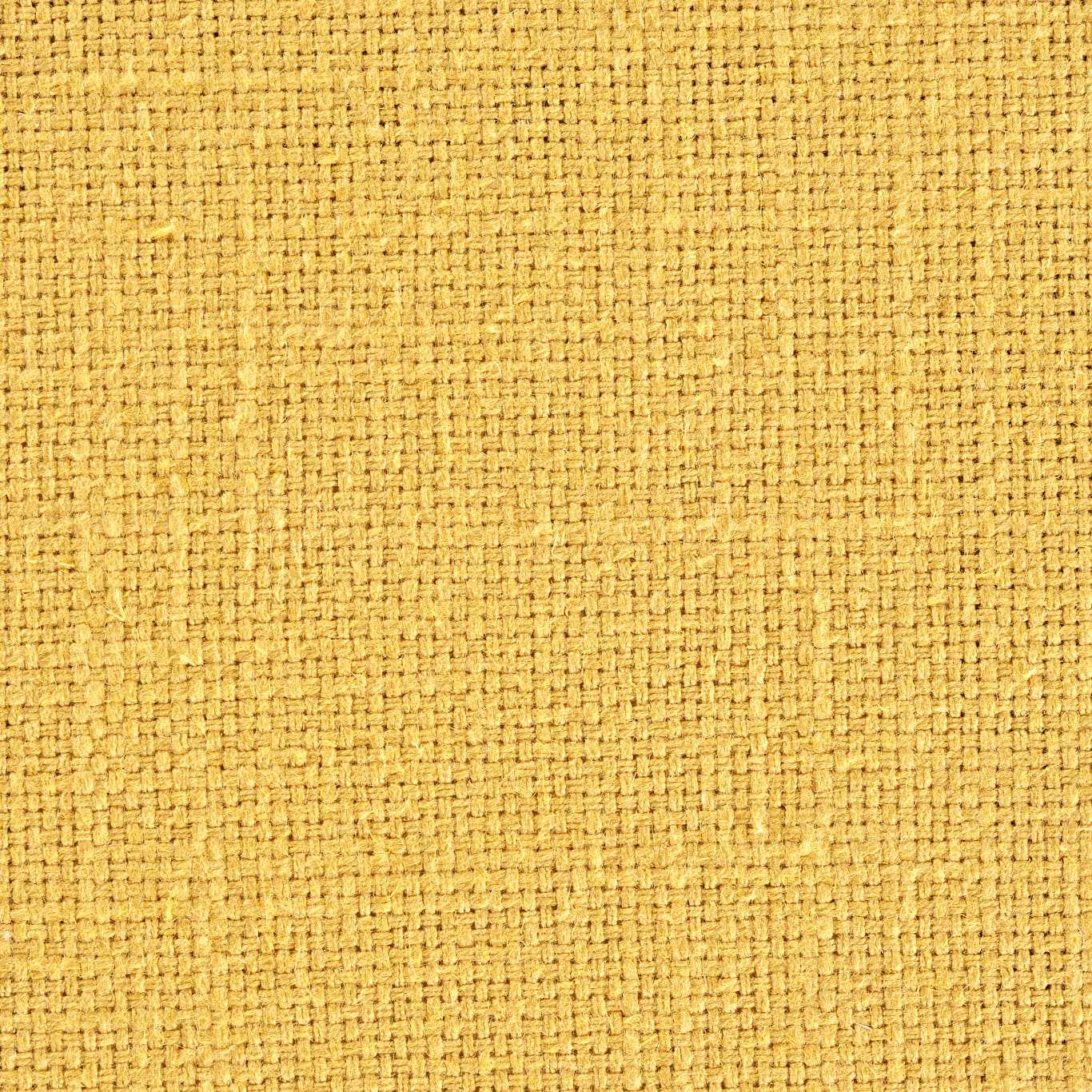Sanderson Tuscany Sunflower Yellow 234234 Fabric Sample DTUS234234