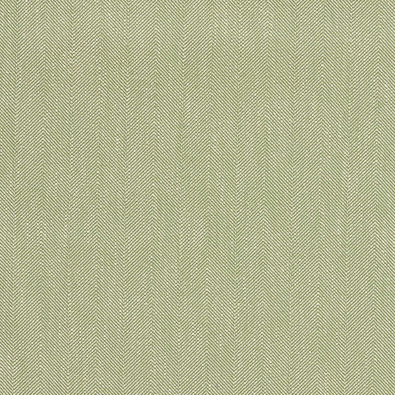 Sanderson Benwick Leaf Green Fabric Sample DUPH237481