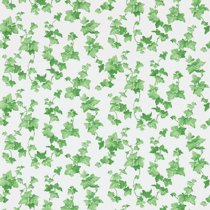 Sanderson Hedera Green Wallpaper Sample DVIN214593
