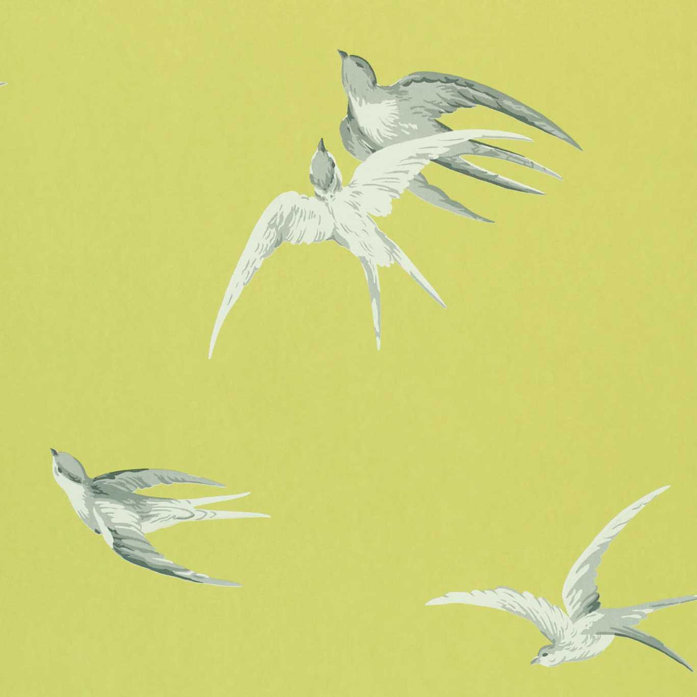 Sanderson Swallows Lime Wallpaper Sample DVIWSW101