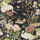 Sanderson Crane & Frog Ink Black/Multi Wallpaper Sample DWAW217123