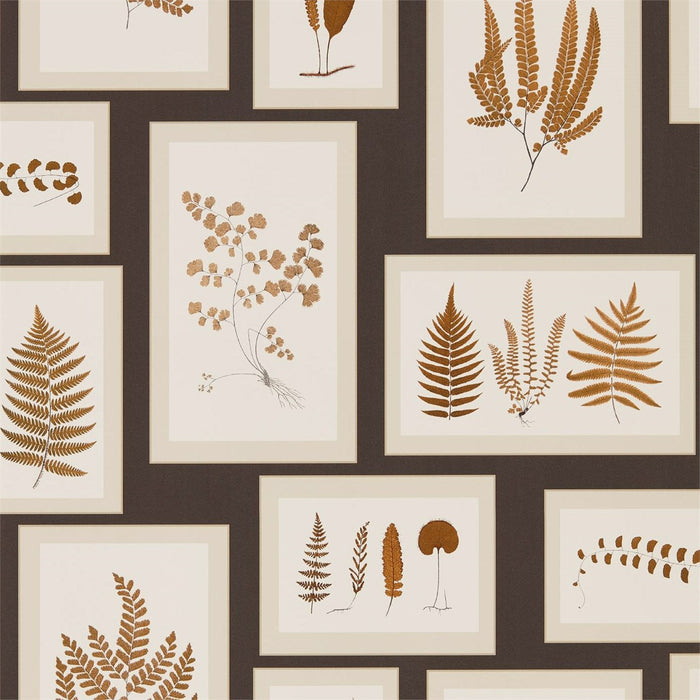 Sanderson Fern Gallery Charcoal/Spice Wallpaper Sample DWOW215713