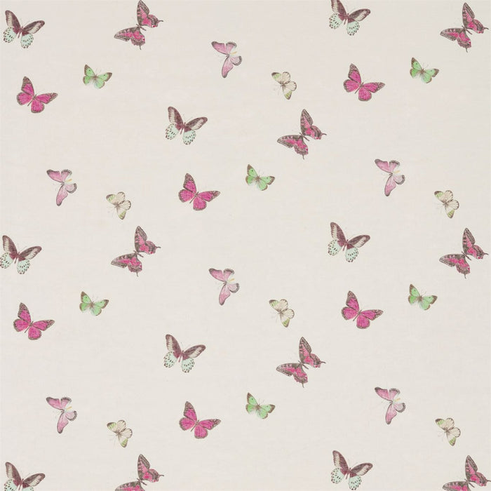 Sanderson Butterfly Voile Fuchsia/Cream 225512 Fabric Sample DWOW225512