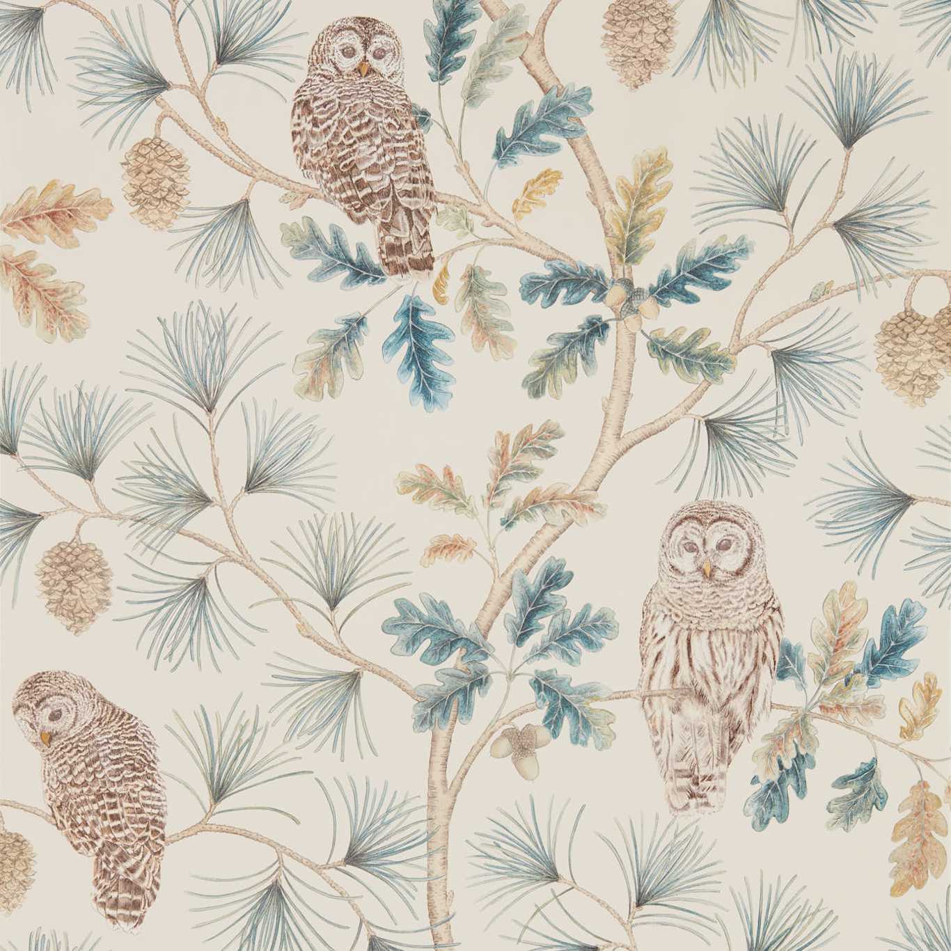 Sanderson Owlswick Teal Wallpaper Sample DYSI216595