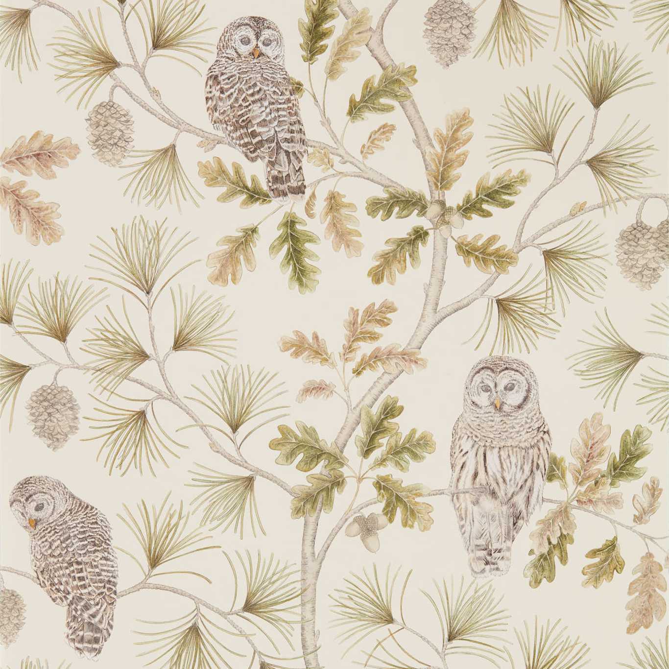 Sanderson Owlswick Briarwood Wallpaper Sample DYSI216597