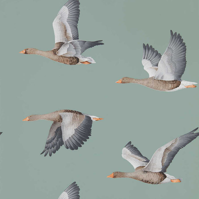 Sanderson Elysian Geese Blue Clay Wallpaper Sample DYSI216610