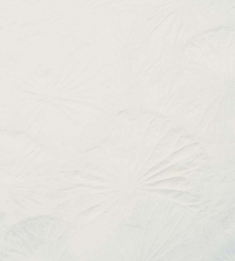 Old World Weavers Lotus Cream Fabric Sample E7LOTU0010