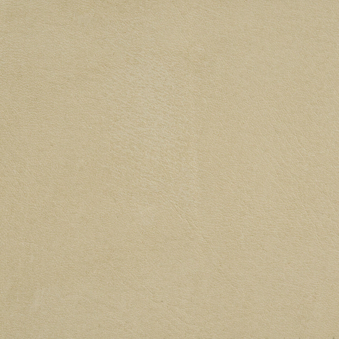 Threads Crawford Frost Fabric Sample ED50015.710.0