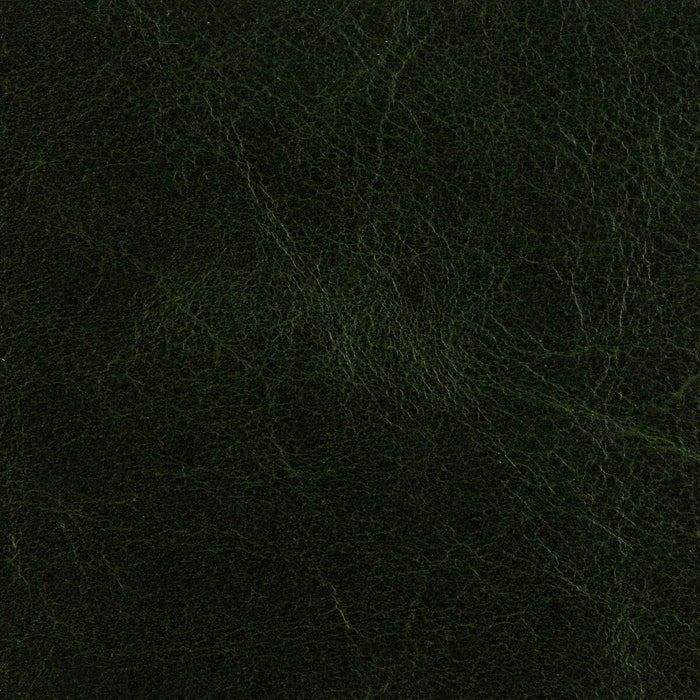 Threads Crawford Forest Green Fabric Sample ED50015.794.0