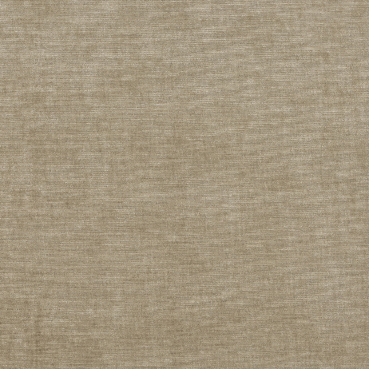 Threads Meridian Velvet Oatmeal Fabric Sample ED85292.230.0