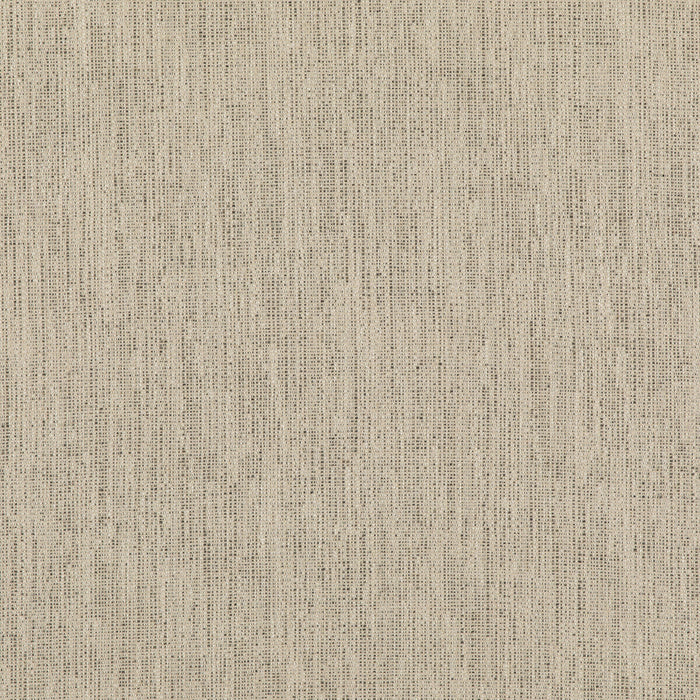 Threads Stipple Charcoal Fabric Sample ED85317.985.0