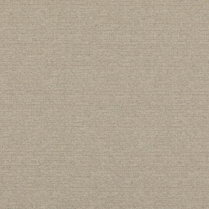 Threads Bara Ivory Fabric Sample ED85324.104.0
