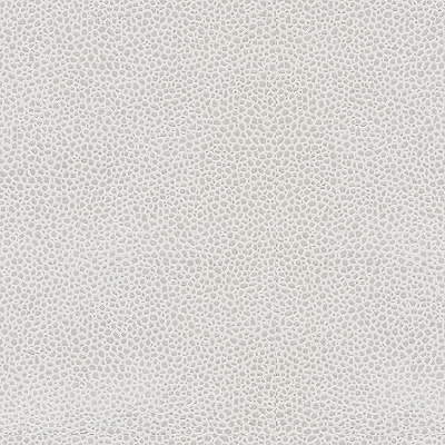 Kravet Couture Edgy Shark Platinum Fabric Sample EDGY SHARK.11.0