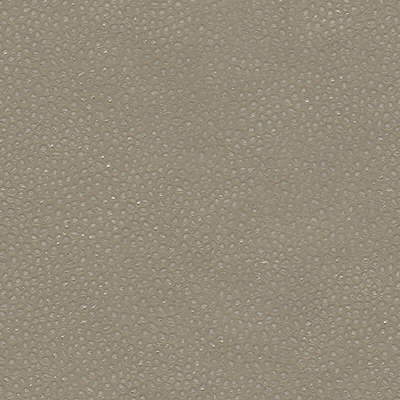 Kravet Couture Edgy Shark Nickel Fabric EDGY SHARK.21.0