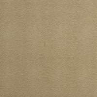 Kravet Couture Epitome Putty Fabric EPITOME.16.0