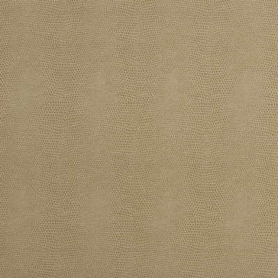 Kravet Couture Epitome Putty Fabric Sample EPITOME.16.0