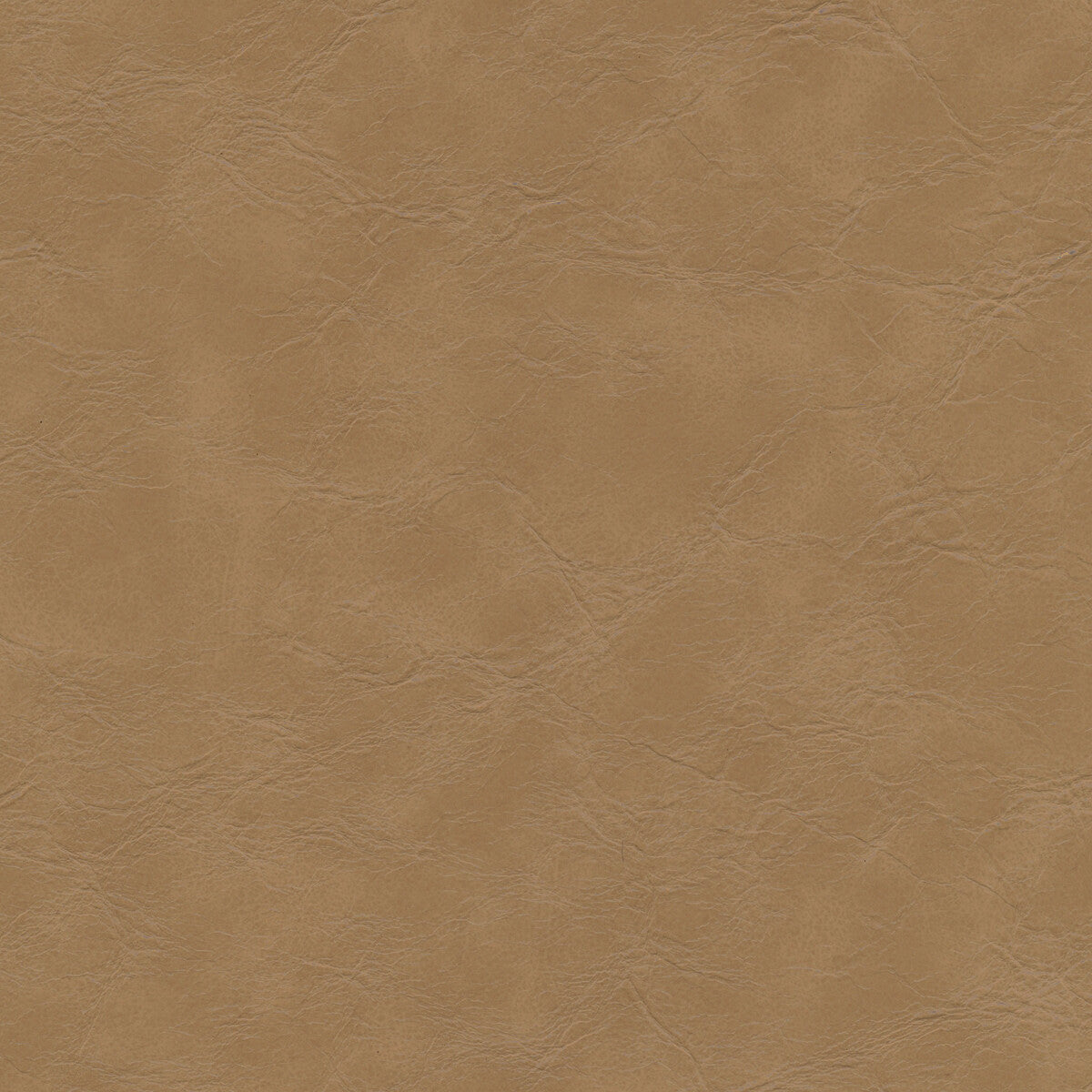 Kravet Design EQUINE.106.0 Fabric
