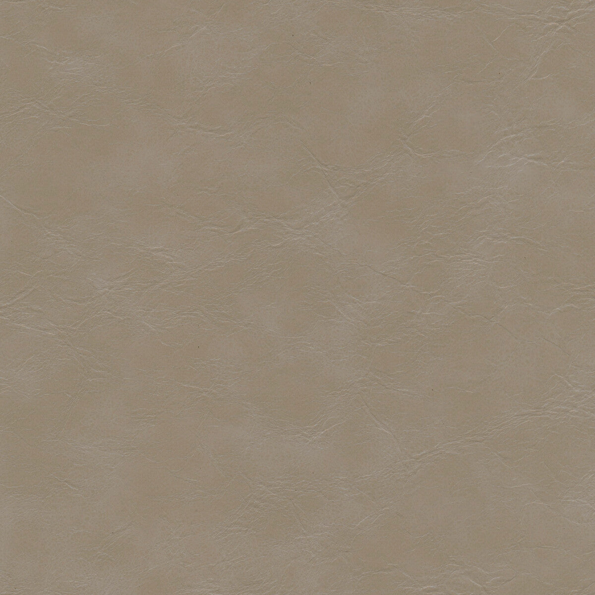 Kravet Design EQUINE.11.0 Fabric