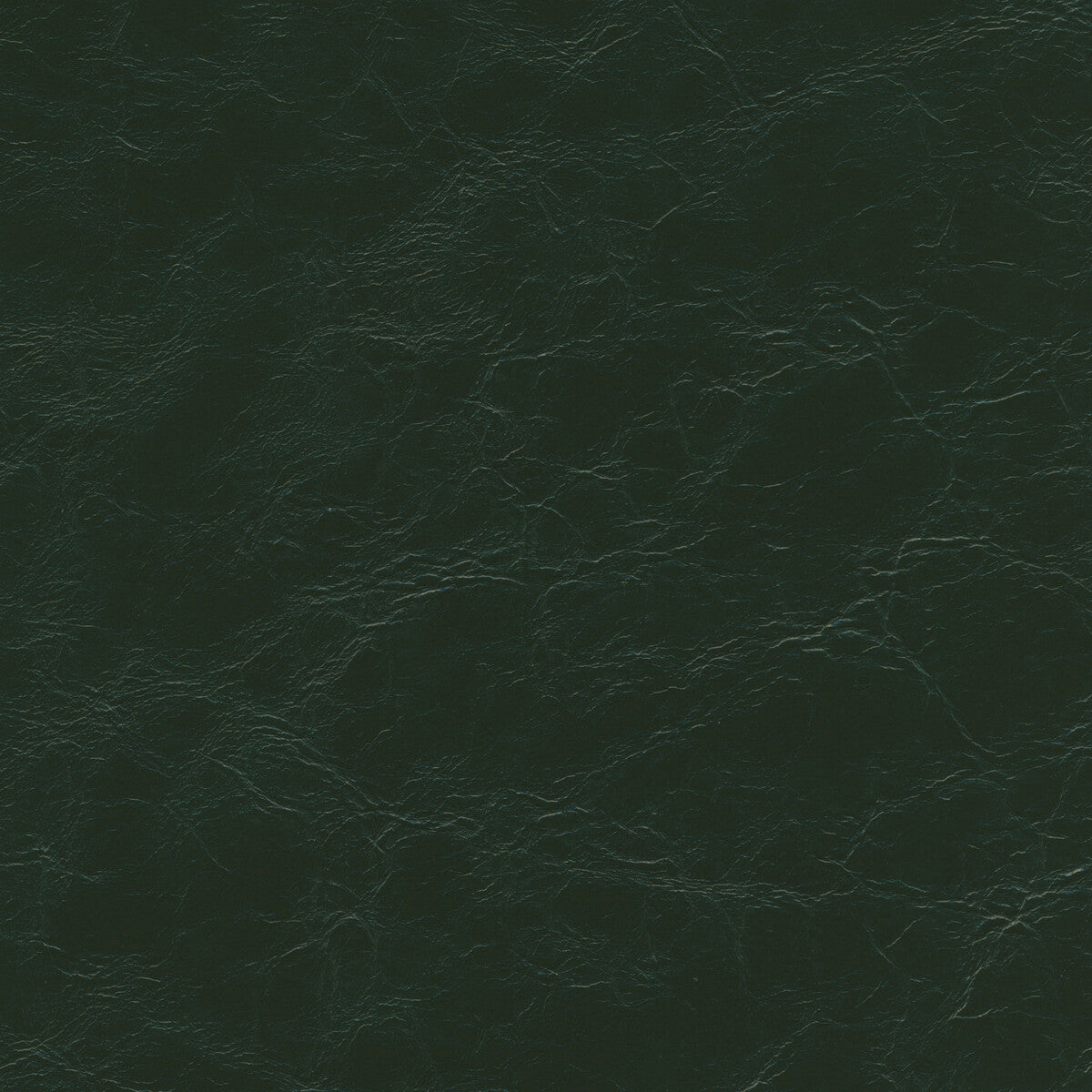 Kravet Design EQUINE.3.0 Fabric