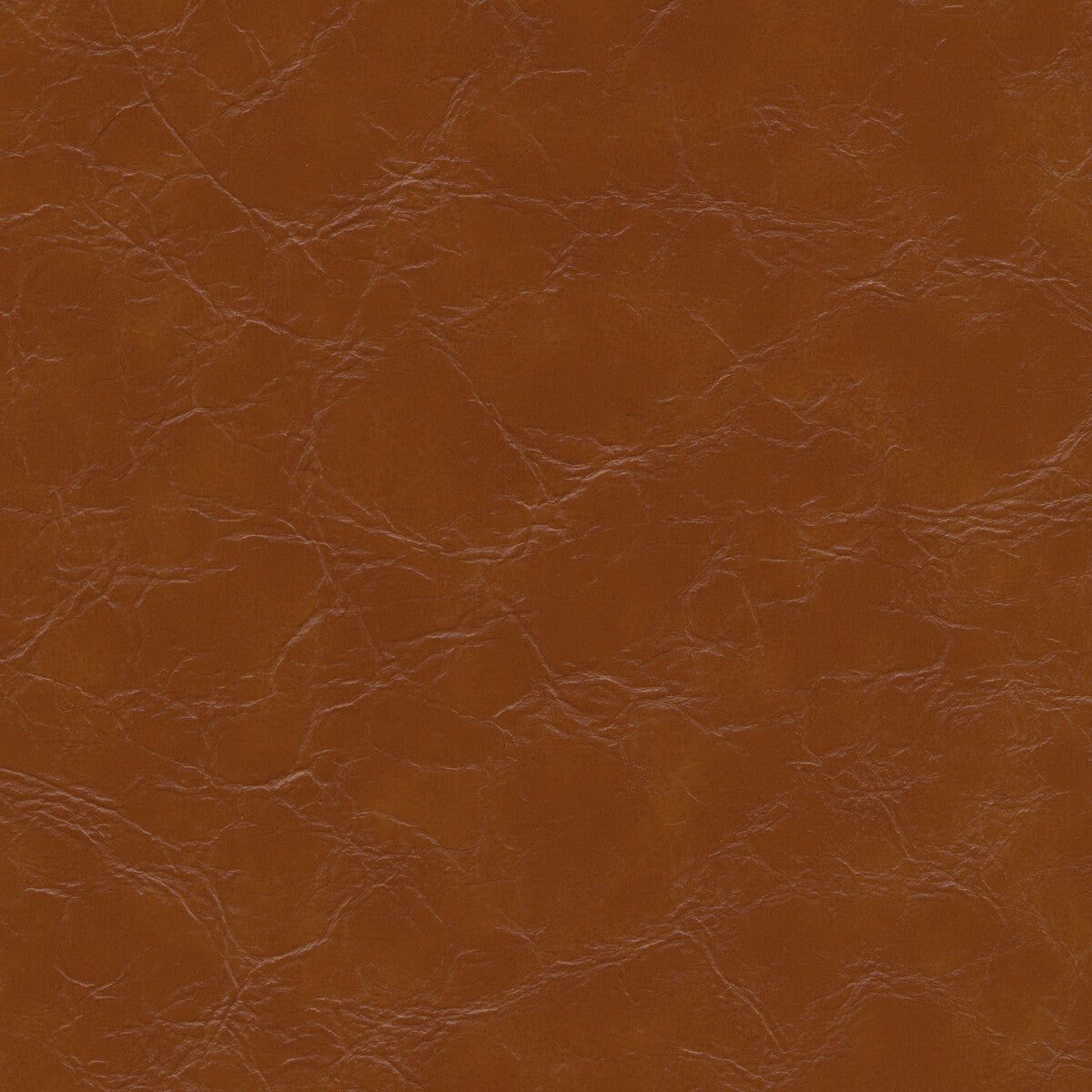 Kravet Design EQUINE.6.0 Fabric
