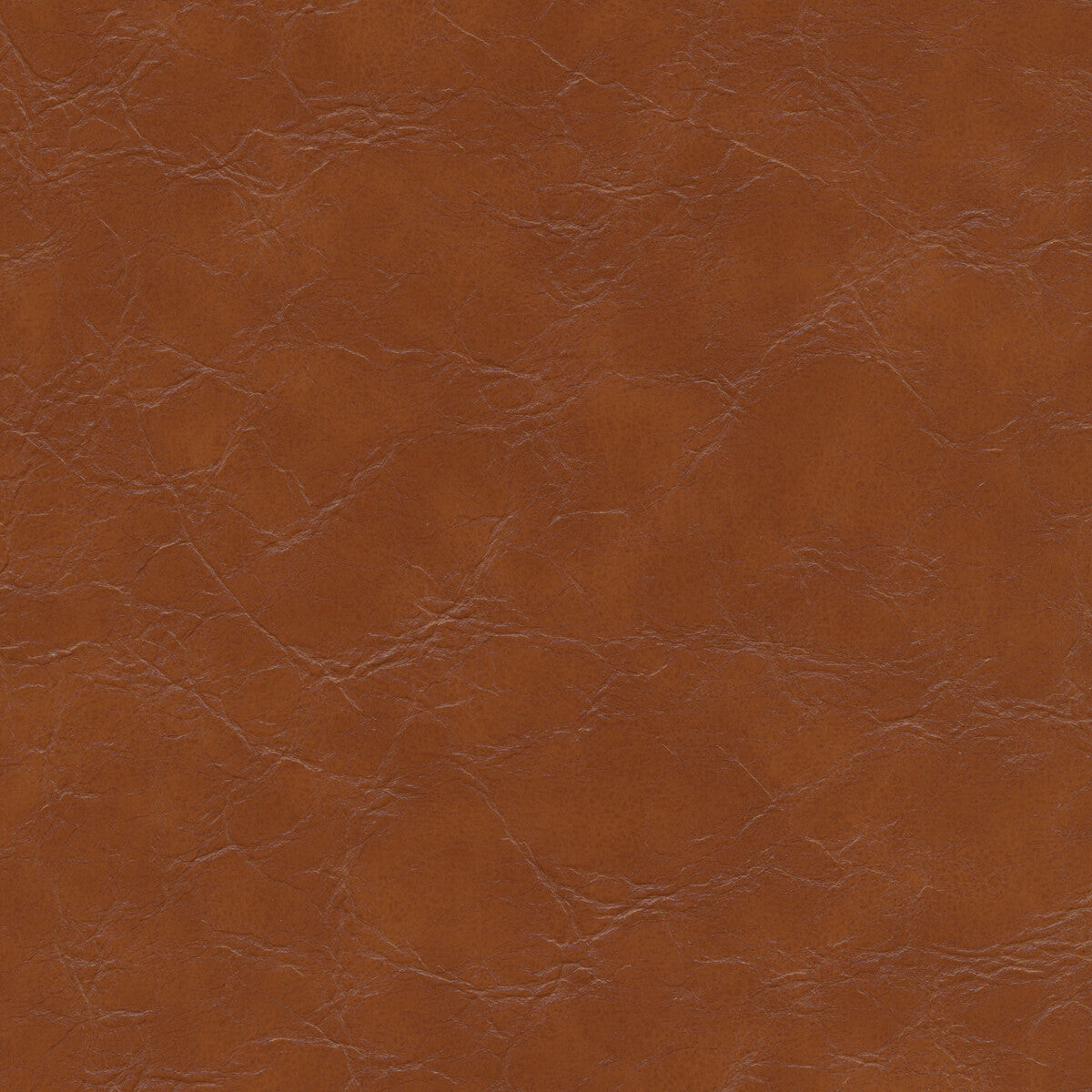 Kravet Design EQUINE.606.0 Fabric