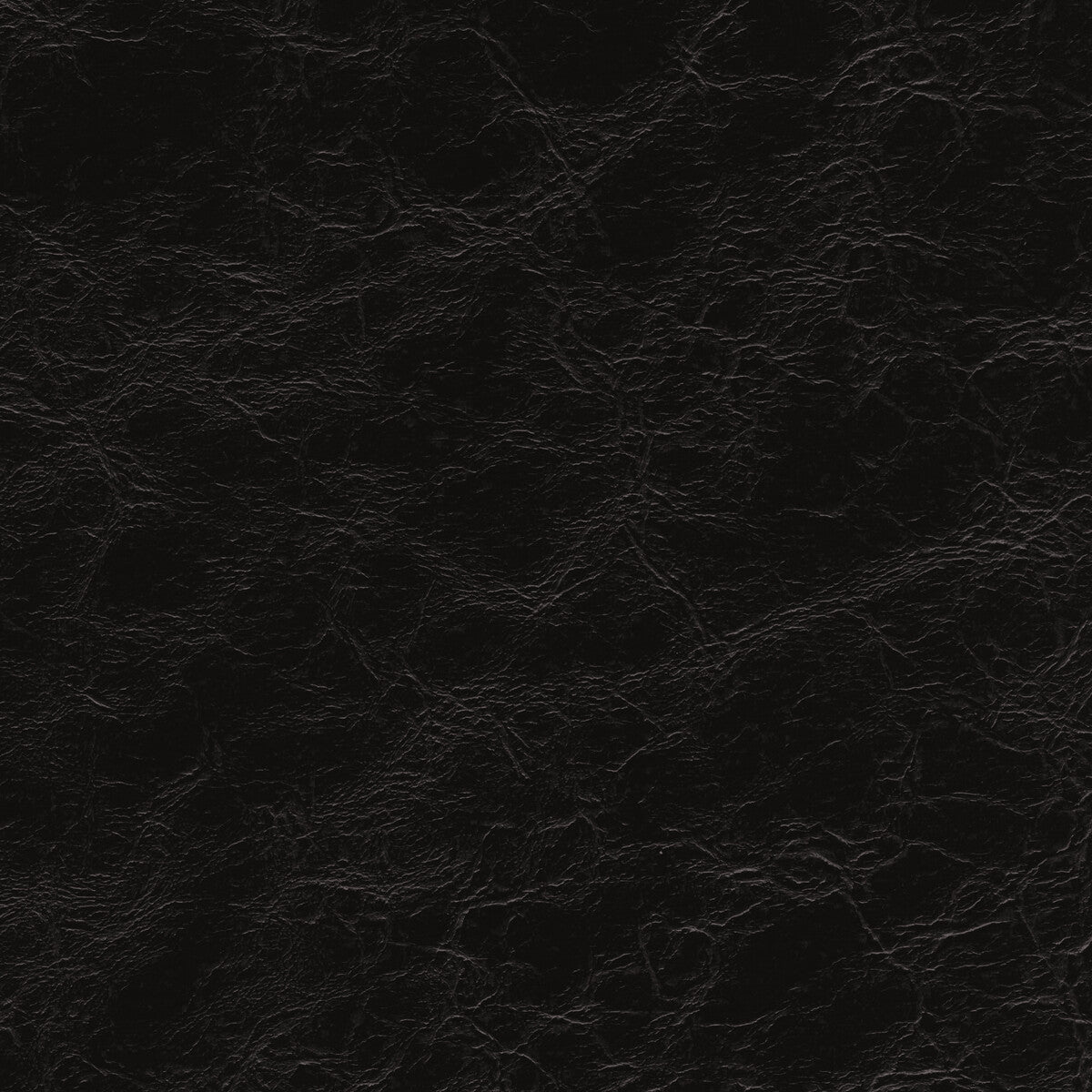 Kravet Design EQUINE.8.0 Fabric