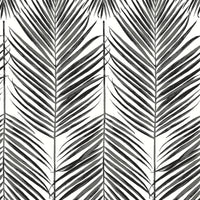 Seabrook Designs Marina Palm Ebony Wallpaper ET10735