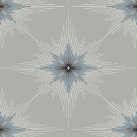 Seabrook Designs North Star Argos Grey Wallpaper ET11408
