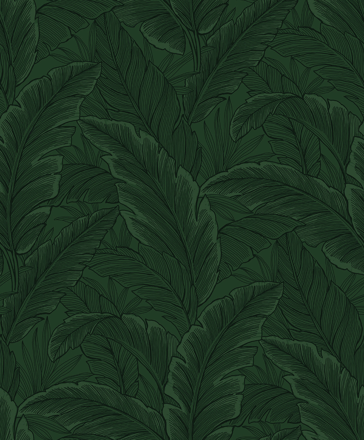 Seabrook Designs Gulf Tropical Leaves Forest Green Wallpaper ET13004