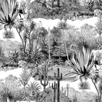 Pierre Frey Pampa Noir Fabric F3086001