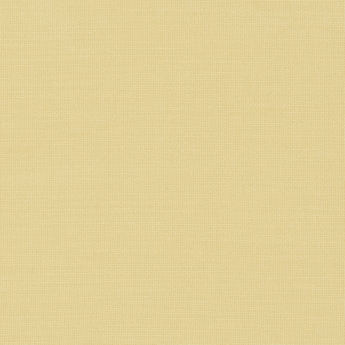 Clarke & Clarke Nantucket Corn Fabric Sample F0594/12.CAC.0