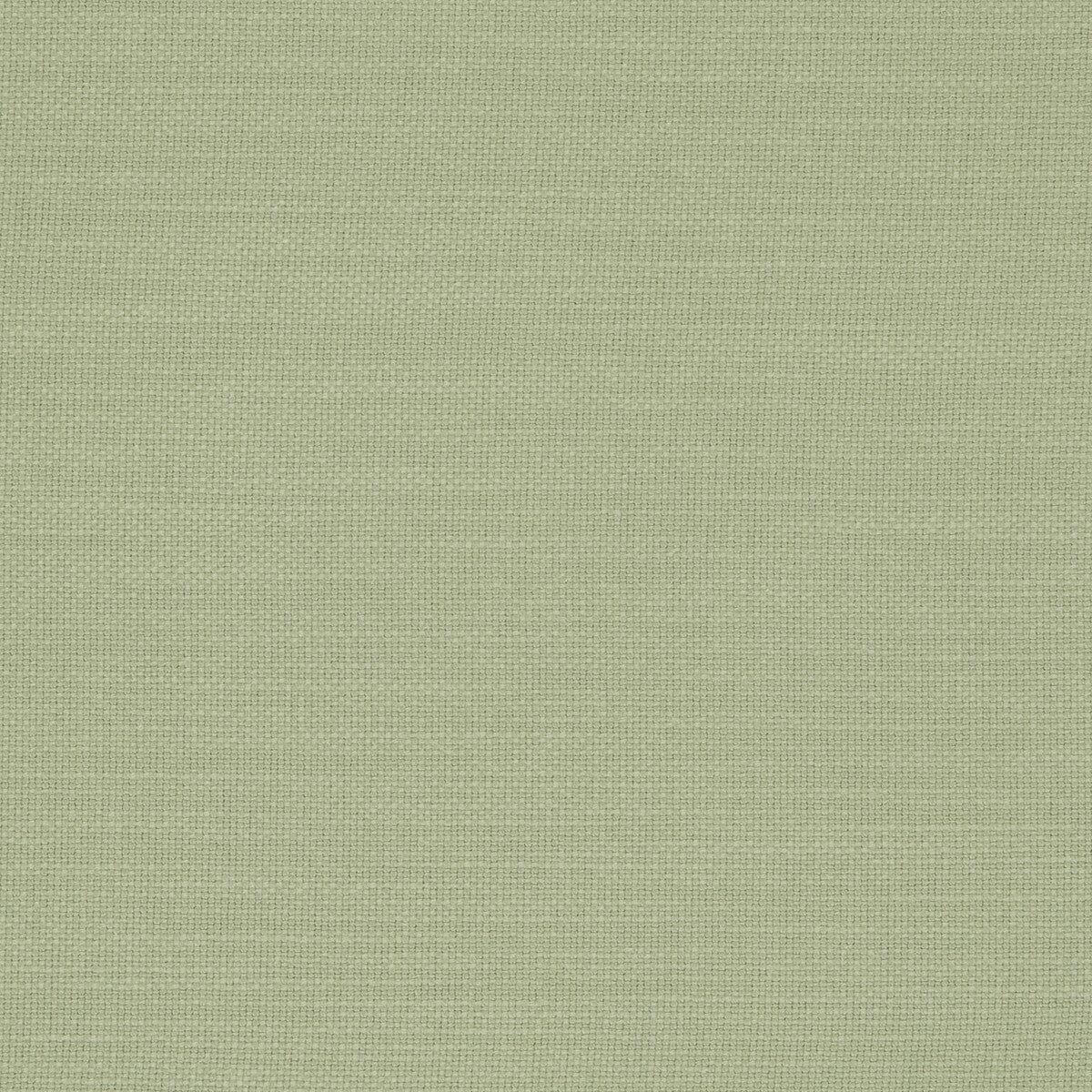 Clarke & Clarke Nantucket Meadow Fabric Sample F0594/34.CAC.0