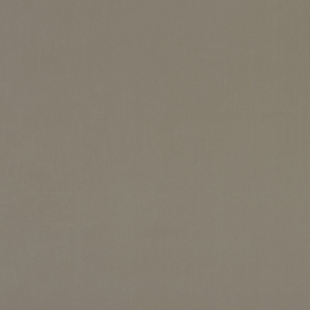 Clarke & Clarke Alvar Taupe Fabric Sample F0753/16.CAC.0