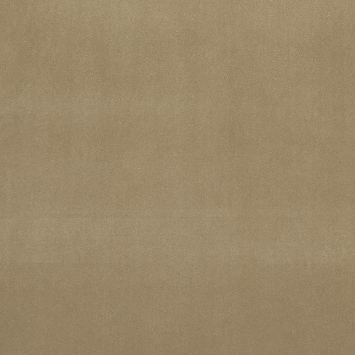 Clarke & Clarke Alvar Lark Fabric Sample F0753/41.CAC.0