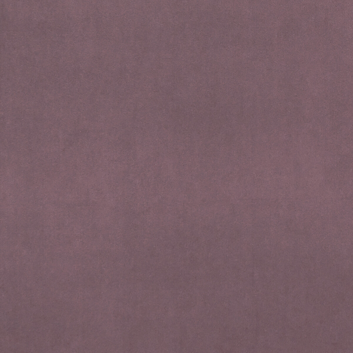 Clarke & Clarke Alvar Lavender Fabric Sample F0753/42.CAC.0