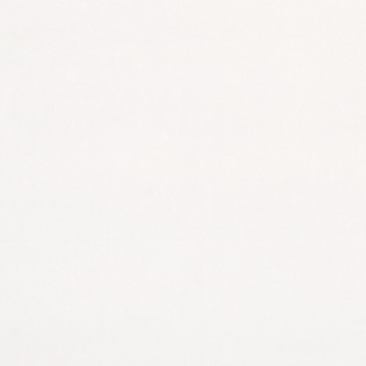 Clarke & Clarke Alvar Snow Fabric Sample F0753/47.CAC.0