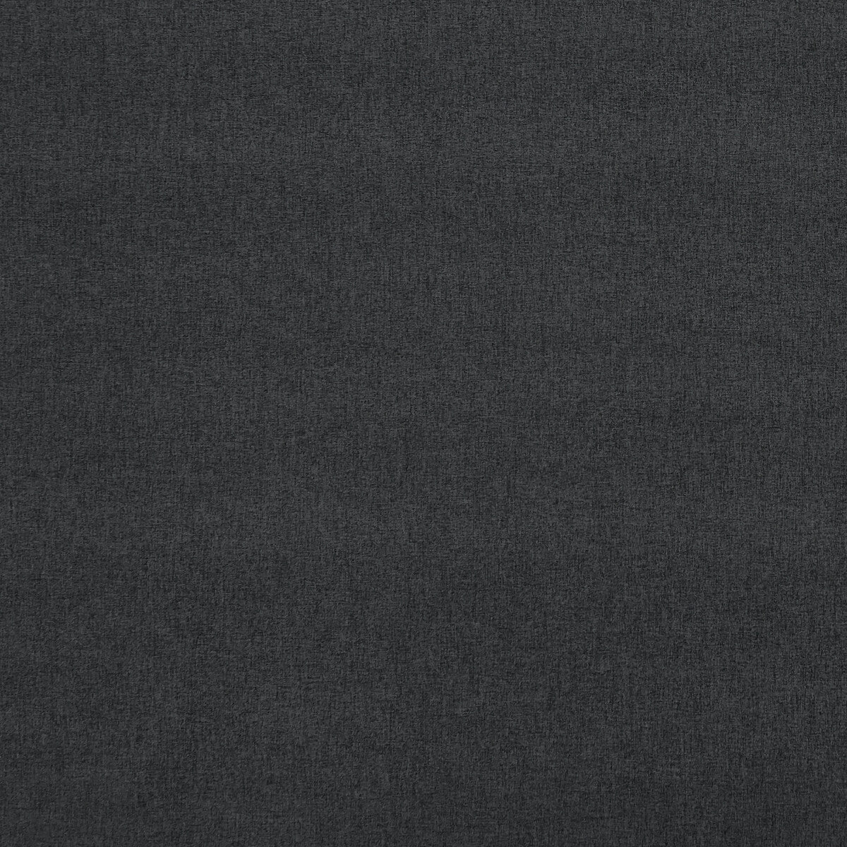Clarke & Clarke Highlander Ebony Fabric Sample F0848/10.CAC.0
