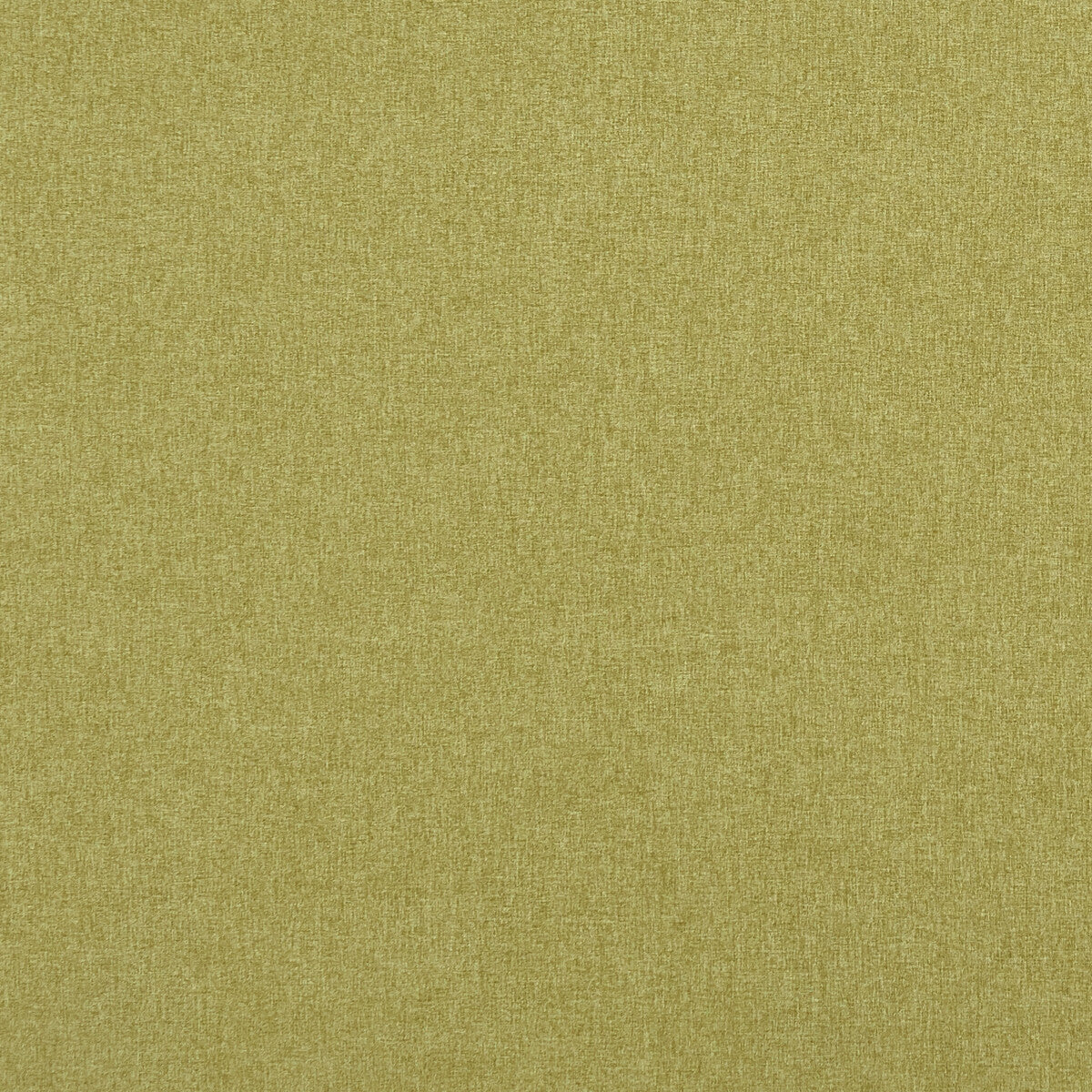 Clarke & Clarke Highlander Fern Fabric Sample F0848/12.CAC.0