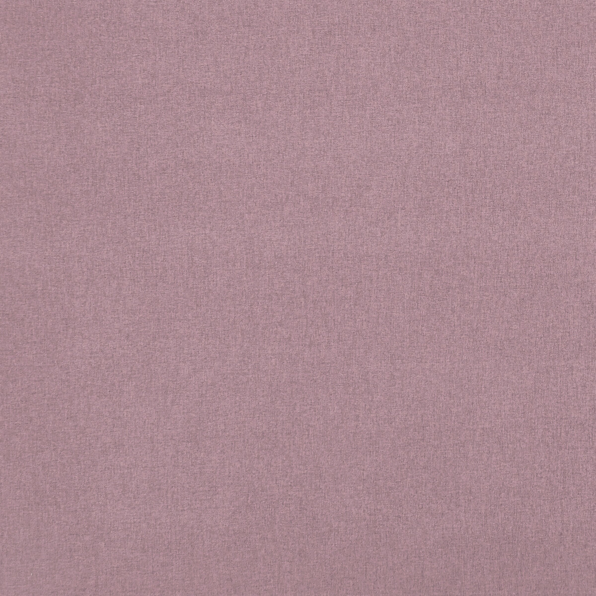 Clarke & Clarke Highlander Orchid Fabric Sample F0848/23.CAC.0