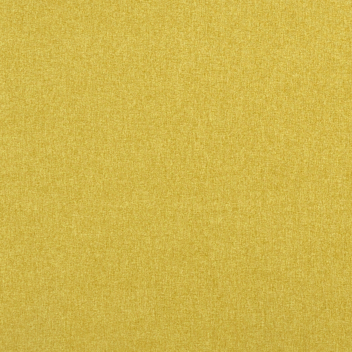 Clarke & Clarke Highlander Sunshine Fabric Sample F0848/70.CAC.0