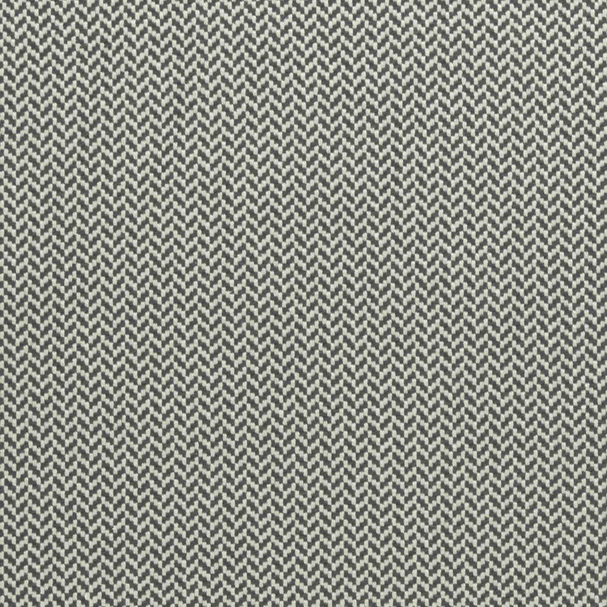 Clarke & Clarke Zalika Charcoal Fabric Sample F0963/01.CAC.0