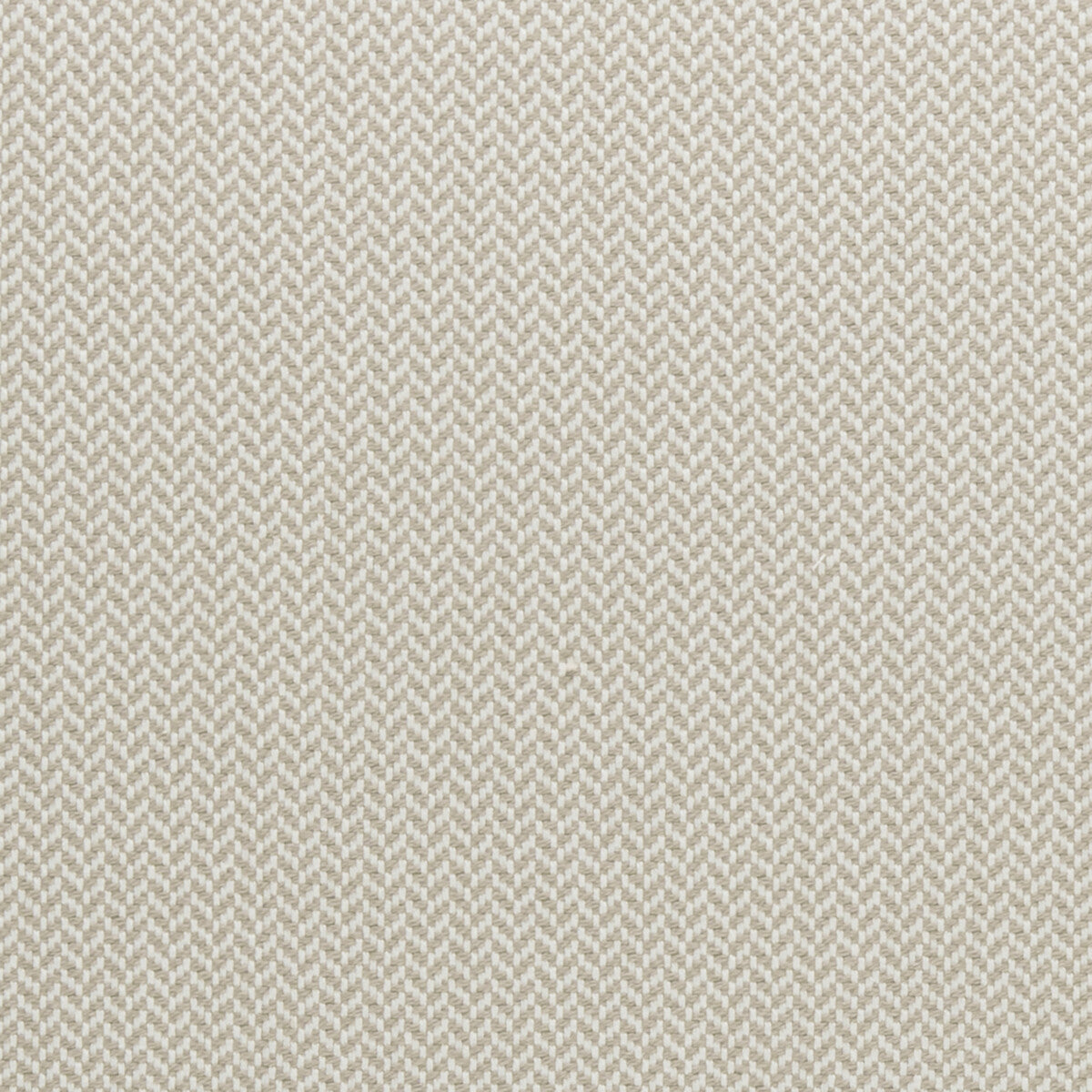 Clarke & Clarke Zalika Natural Fabric Sample F0963/04.CAC.0