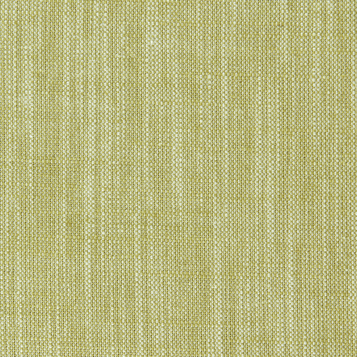 Clarke & Clarke Biarritz Citrus Fabric Sample F0965/11.CAC.0