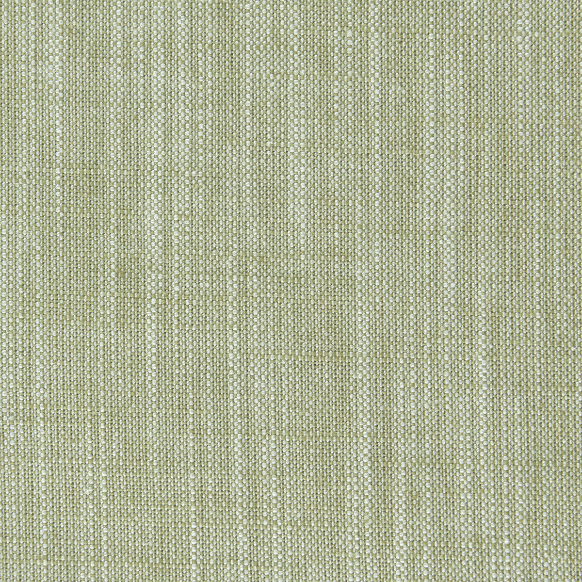 Clarke & Clarke Biarritz Eucalyptus Fabric Sample F0965/16.CAC.0